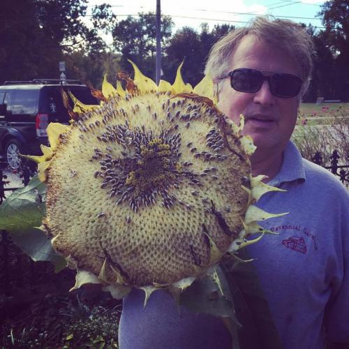 Robert with Sunflower